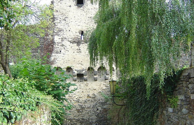 Living in the Historic Cochem Old Town - Foto 31