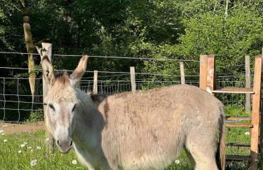 Lac de Vassivière Petite maison à proximité - Foto 24