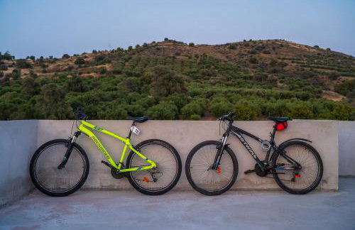 Kalo Spiti - Located Near Matala Beach & Faistos - Foto 52