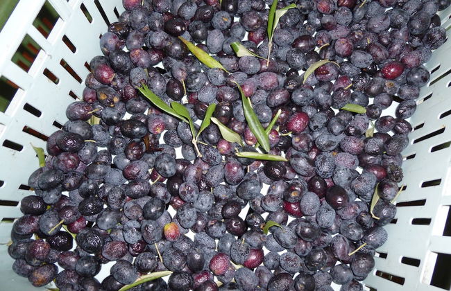 Farmhouse in Citta Della Pieve With Pool - Foto 38