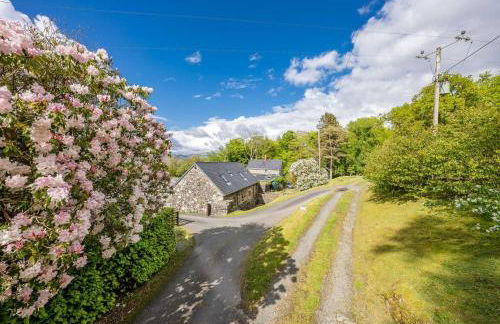 Coed-Stable - Foto 4