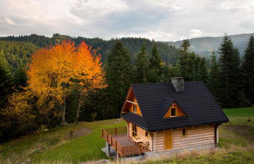 Chata na Kowalówkach - domek w górach - blisko szlaków i wyciągu - Foto 8