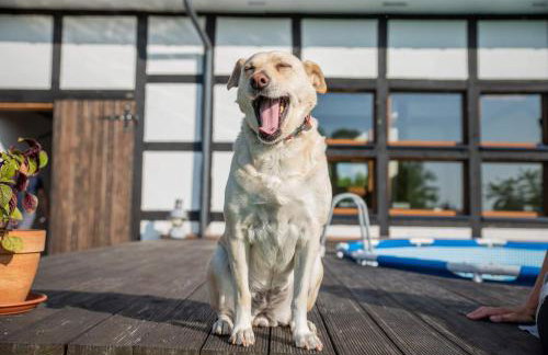 Agroturystyka "Dobre czasy" - Foto 41