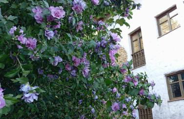 Casa Aldea l'Ayalga - Foto 16