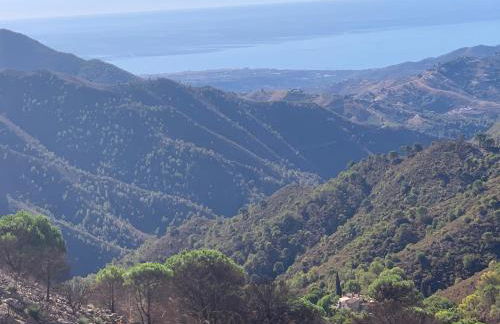 FINCA EL ALMENDRO - Foto 34