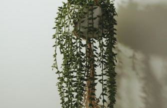 Cocon Urbain Refait À Neuf - Climatisation - Photo 11