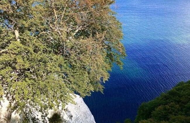 Ufer 7 Comfortable Holiday Residence - Foto 21