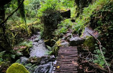 Cantinho do Talasnal - Foto 27