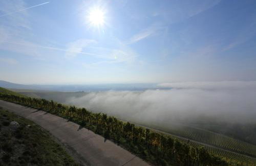 Weingut Ilmbacher Hof - Foto 61