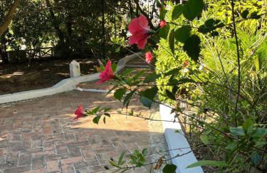 Villa Benedetta - Foto 46