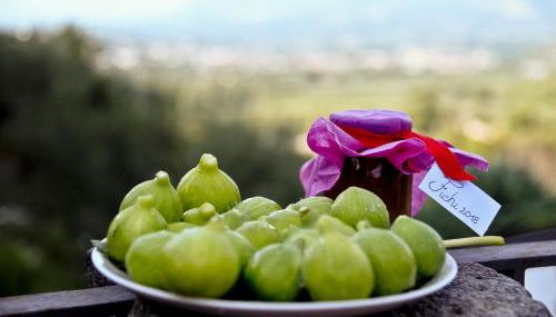 Sentieri Luminosi - Foto 5