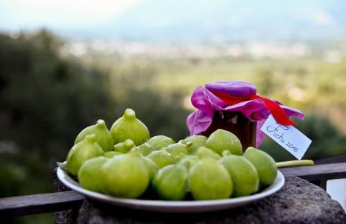 Sentieri Luminosi - Foto 5