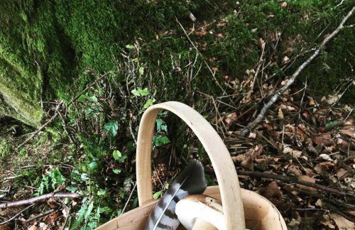 Swan Landing - Photo 22