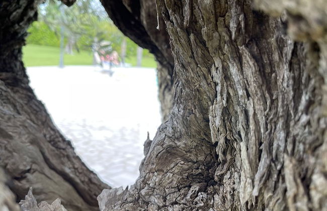 Masseria Giamarra - Foto 1