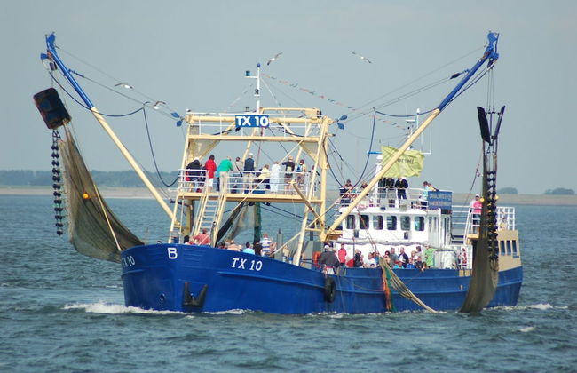 Apartment in Texel Near De Koog Center - Foto 30