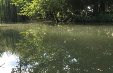 Moulin De Coupigny - Foto 24