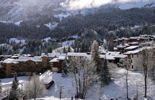 Pied des pistes - Très bel appartement 4 personnes - Foto 29