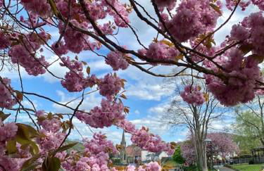 Castle View chalet - Photo 34