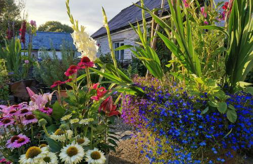 Blaenfforest Rose Cottage Newcastle Emlyn - Photo 19