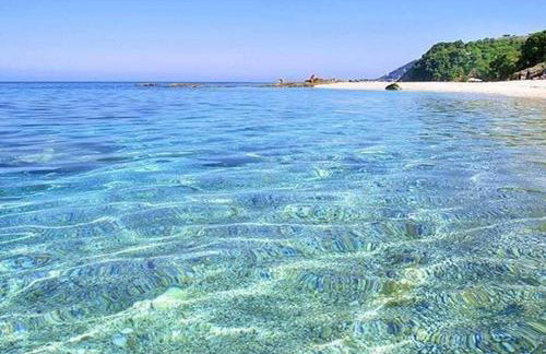 The Yacht House - Photo 24