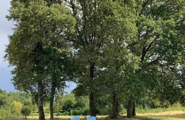 Maison de la Gentinière - Foto 20