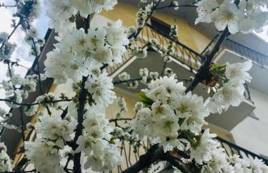 Dimora del cuore - Photo 16