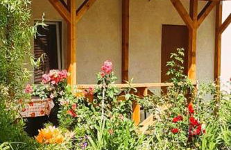 Olszyna Pod Brzozą - Foto 58