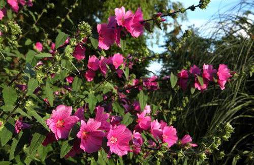 The Moonraker Hotel - Foto 14