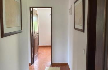 Cama da Vaca - Foto 14