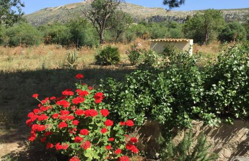 Casale dei mandorli - Foto 31