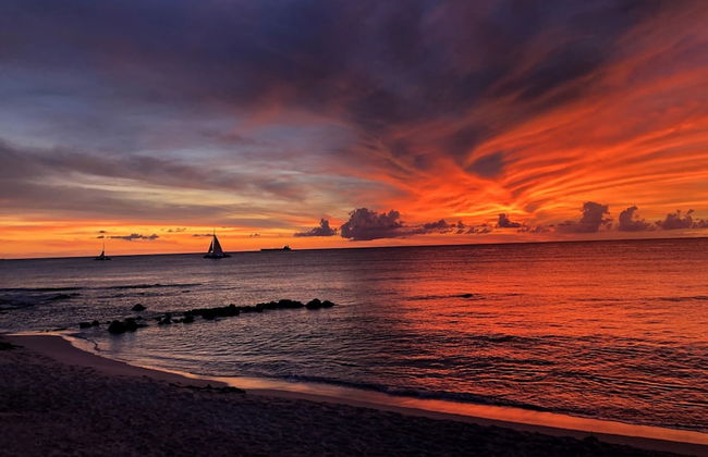 Boca Catalina Oceanview 4 4 Private Pool - Foto 35