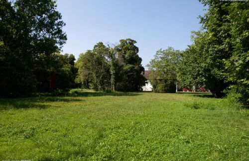 Villa Mainardi Agriturismo - Foto 6