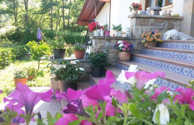 Agroturismo Ibarrondo Etxea - Foto 35