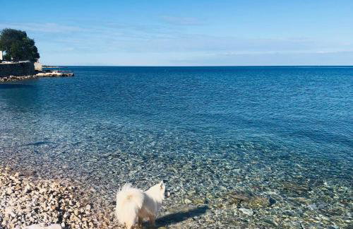 Vila Bianca - Foto 26