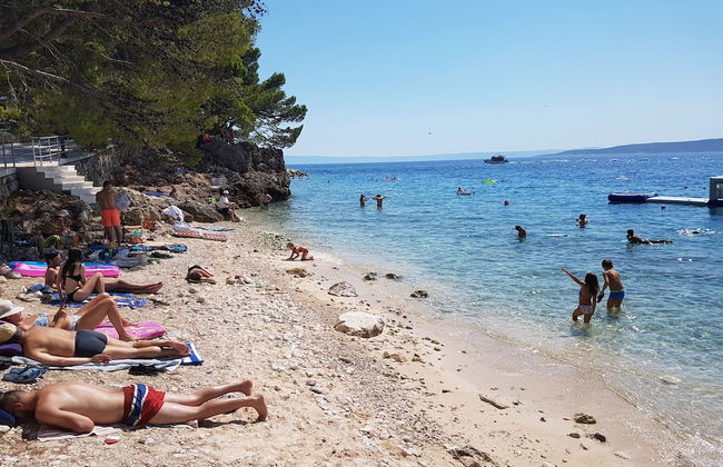 House Ante - Photo 27