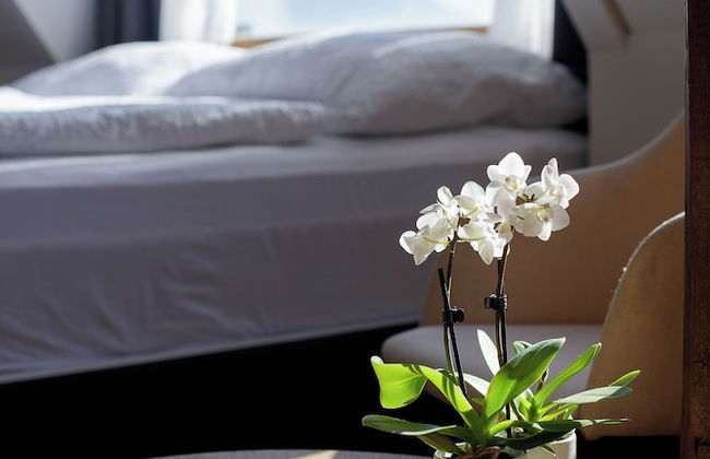 BERG&BERG APARTMENTS-Spiez Self Check-In - Foto 12