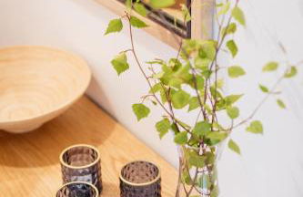 Alt Monjoie - Foto 15