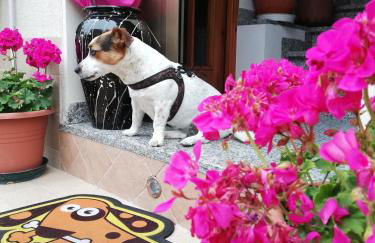 La Casa di Pamy - Foto 58