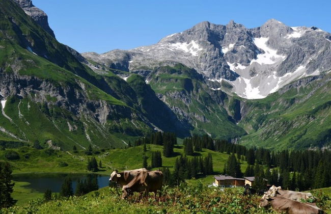 Majestic Apartment in Schrocken - Photo 28