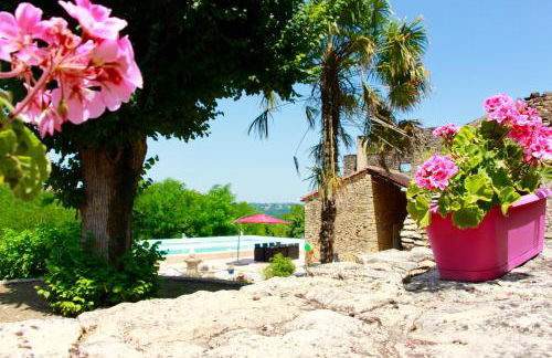 Maison Lou Peyrol avec piscine privée - Foto 39