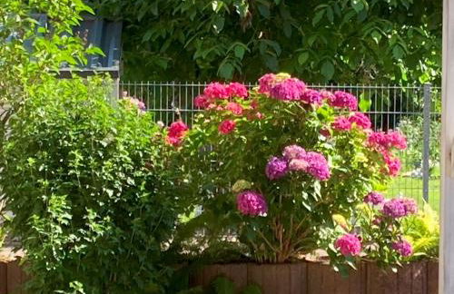 Ferienwohnung Hoffmann - Foto 10