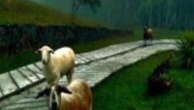 Cabana Deck 3 - Rota Serra do Rio do Rastro - Foto 4