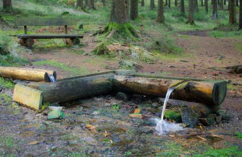 Erzgebirgsidyll Breitenbrunn - Waldhaus - Foto 47