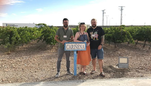 Excursión de vino de día completo y visita al lugar de nacimiento de Goya - Foto 4