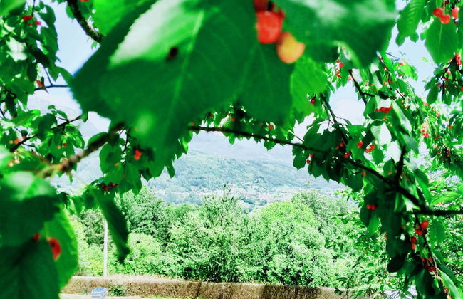 Agriturismo Borgo Biaia - Foto 63