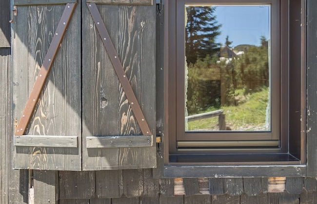 To Fall In Love - Chalet Zlatica - Velika Planina - Foto 10