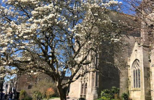 Appartement entier centre historique DINAN - Foto 15