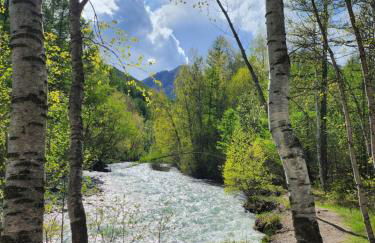 La Petite Corneille - a chic and central studio. - Photo 19