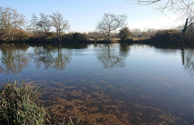 Charming 17th Century 2-bed Cottage in Medmenham - Foto 16