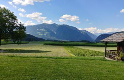 Krebslechnerhof - Foto 66